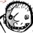 boatboy626